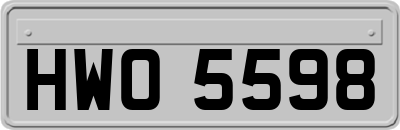 HWO5598