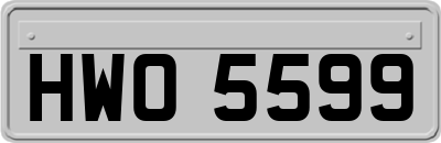 HWO5599