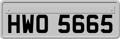 HWO5665