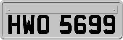 HWO5699