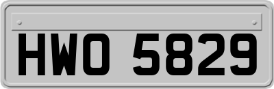 HWO5829