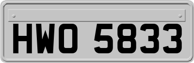 HWO5833