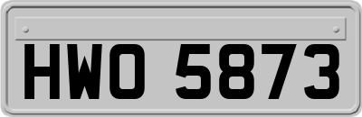 HWO5873