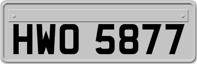 HWO5877
