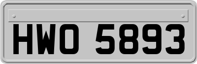 HWO5893
