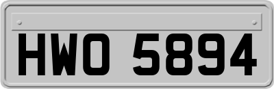 HWO5894