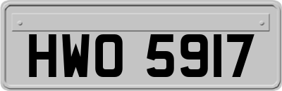 HWO5917