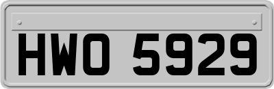 HWO5929