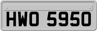HWO5950