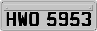 HWO5953