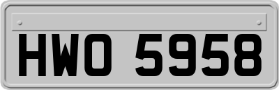 HWO5958