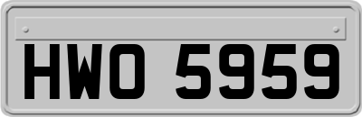 HWO5959