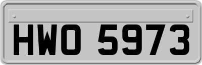 HWO5973