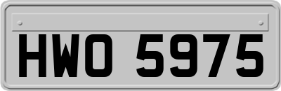 HWO5975