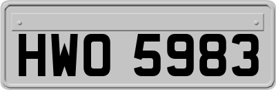 HWO5983