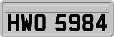 HWO5984