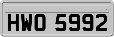 HWO5992