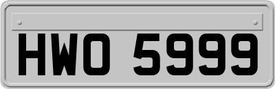 HWO5999