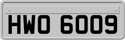 HWO6009