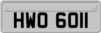 HWO6011