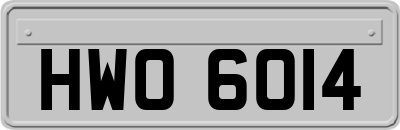 HWO6014