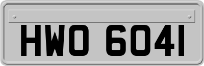 HWO6041