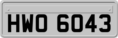 HWO6043