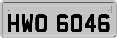 HWO6046