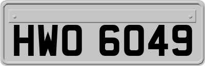 HWO6049