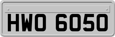 HWO6050