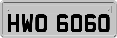 HWO6060