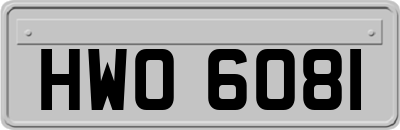 HWO6081