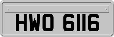 HWO6116