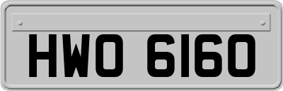 HWO6160