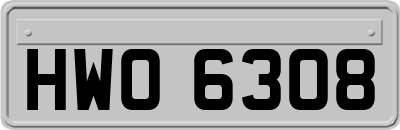 HWO6308