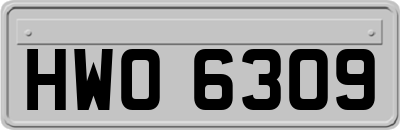 HWO6309