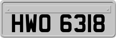 HWO6318