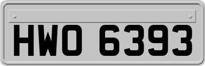 HWO6393