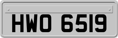 HWO6519