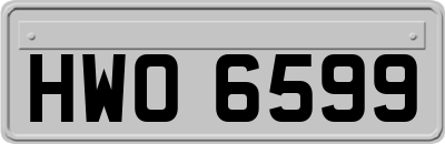 HWO6599