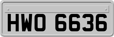 HWO6636