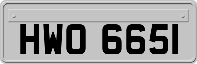 HWO6651