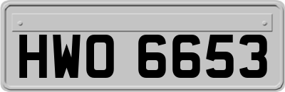 HWO6653