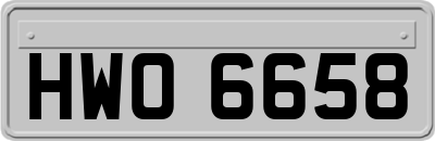 HWO6658