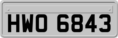 HWO6843
