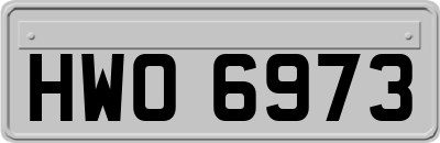 HWO6973