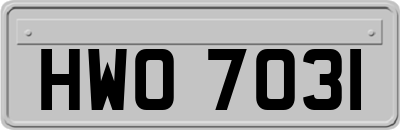 HWO7031