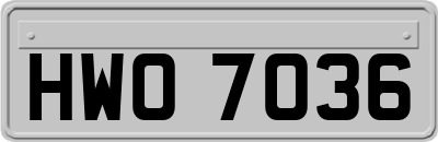 HWO7036