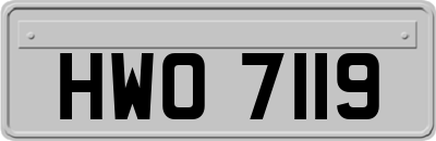 HWO7119