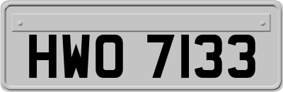 HWO7133